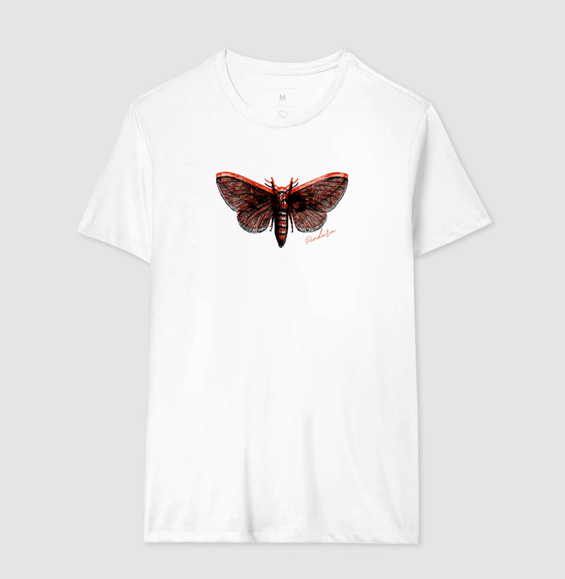 Lepidoptera - Imagem 3