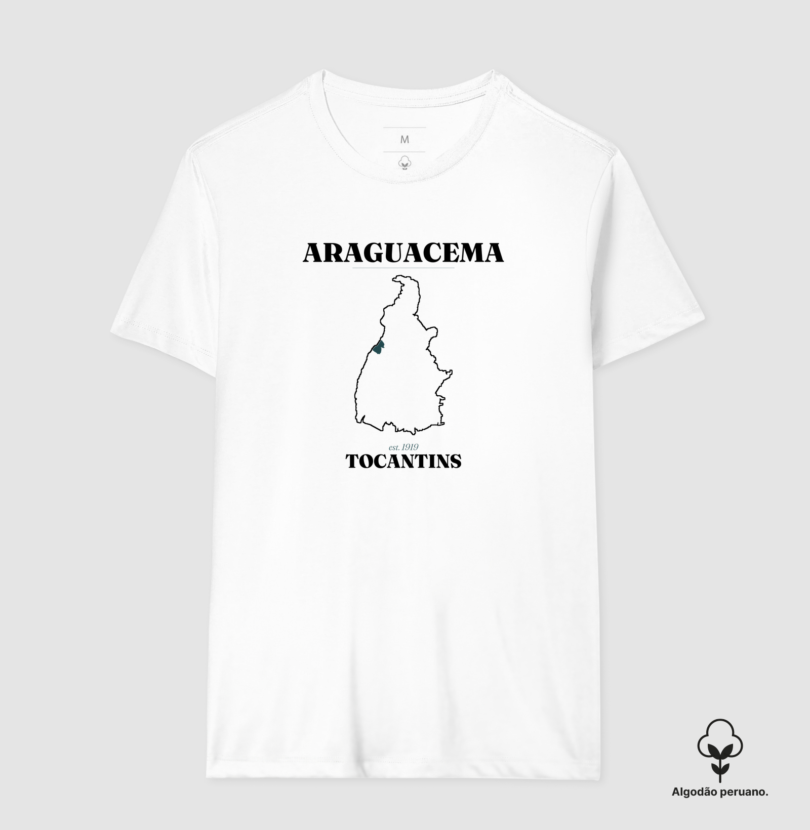 Araguacema | Legado TO - Imagem 6