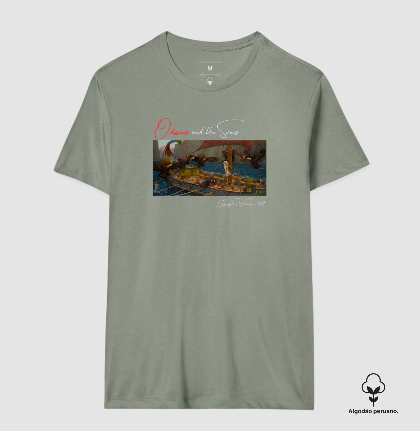 Camisa 6
