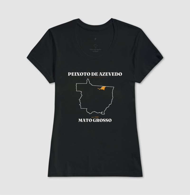 Peixoto de Azevedo | Legado MT - Imagem 3