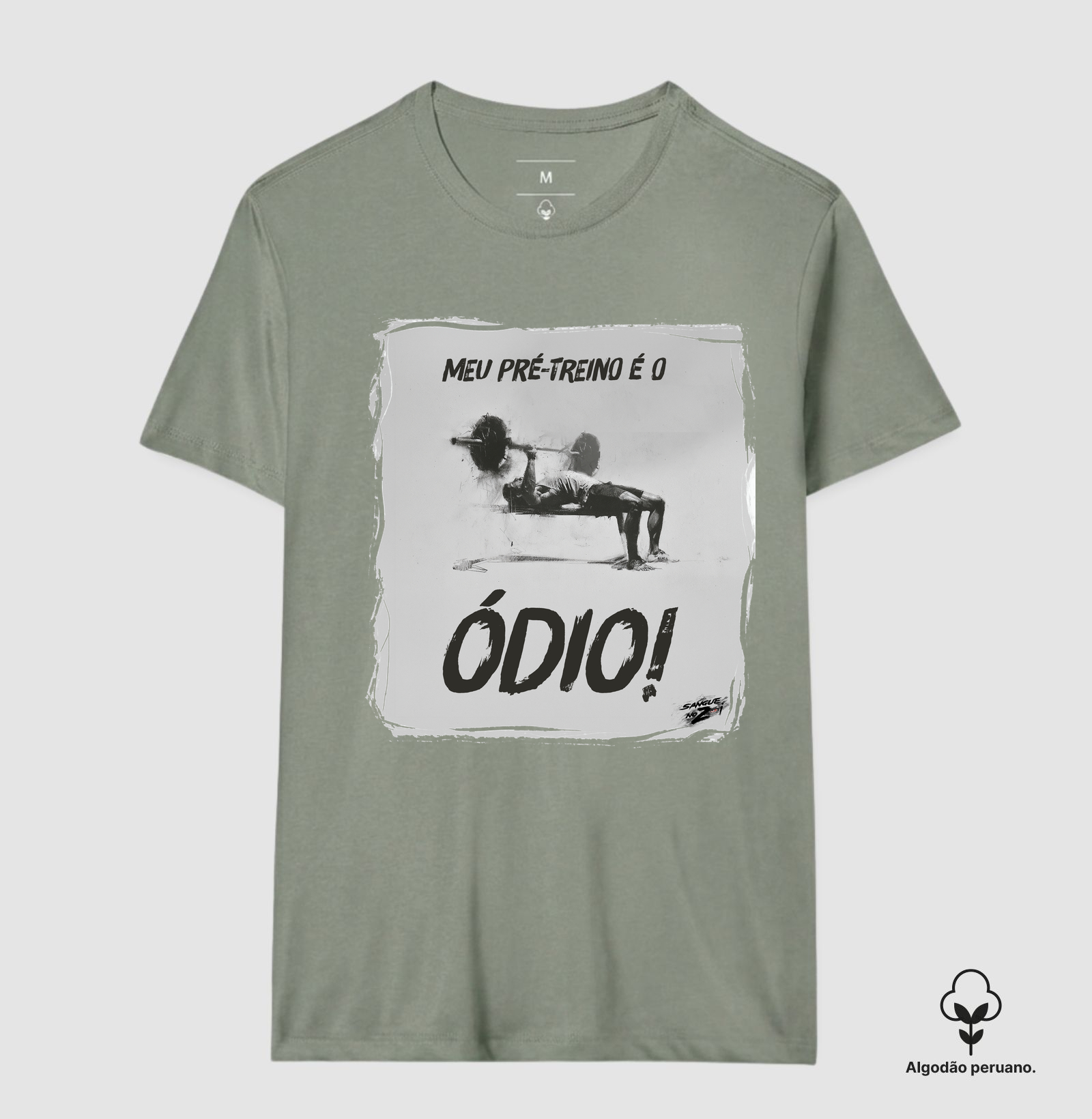 Meu pré-treino é o ódio! - Imagem 8