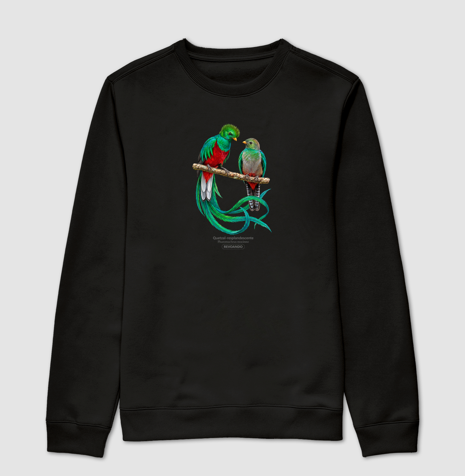 Traços Alados - Quetzal-resplandescente - Moletom - Imagem 6