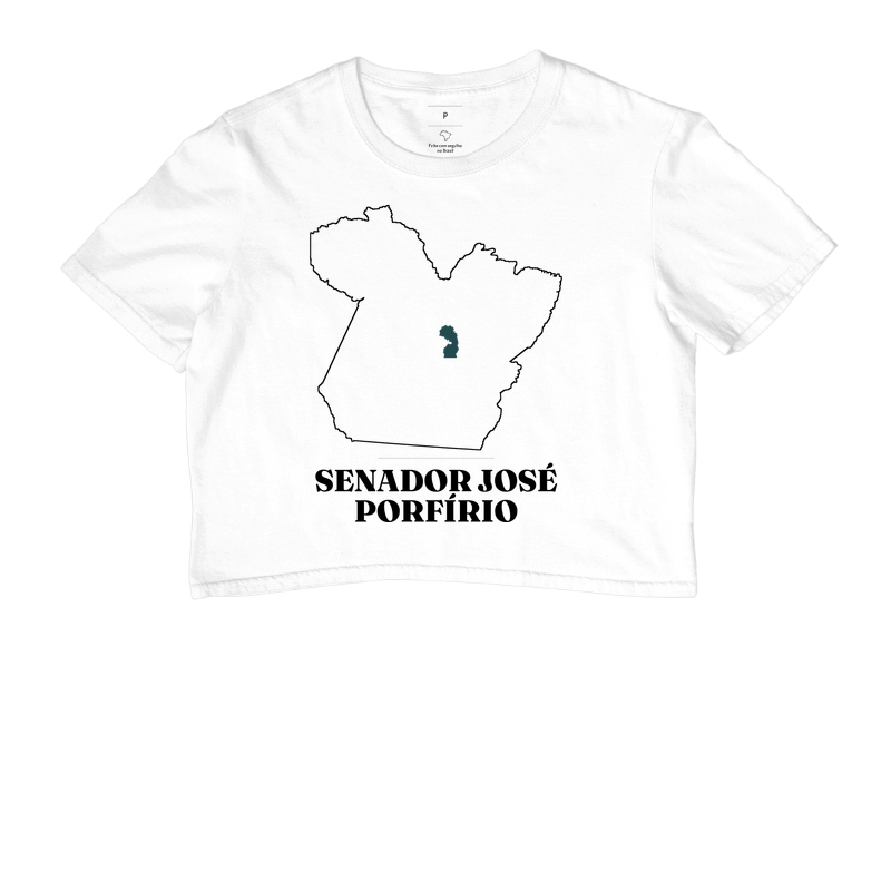 Senador José Porfírio | Traço PA - Imagem 3