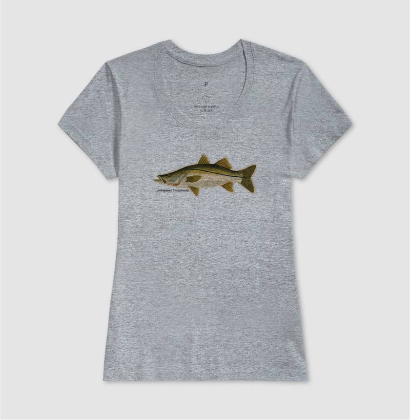Robalo - Imagem 9