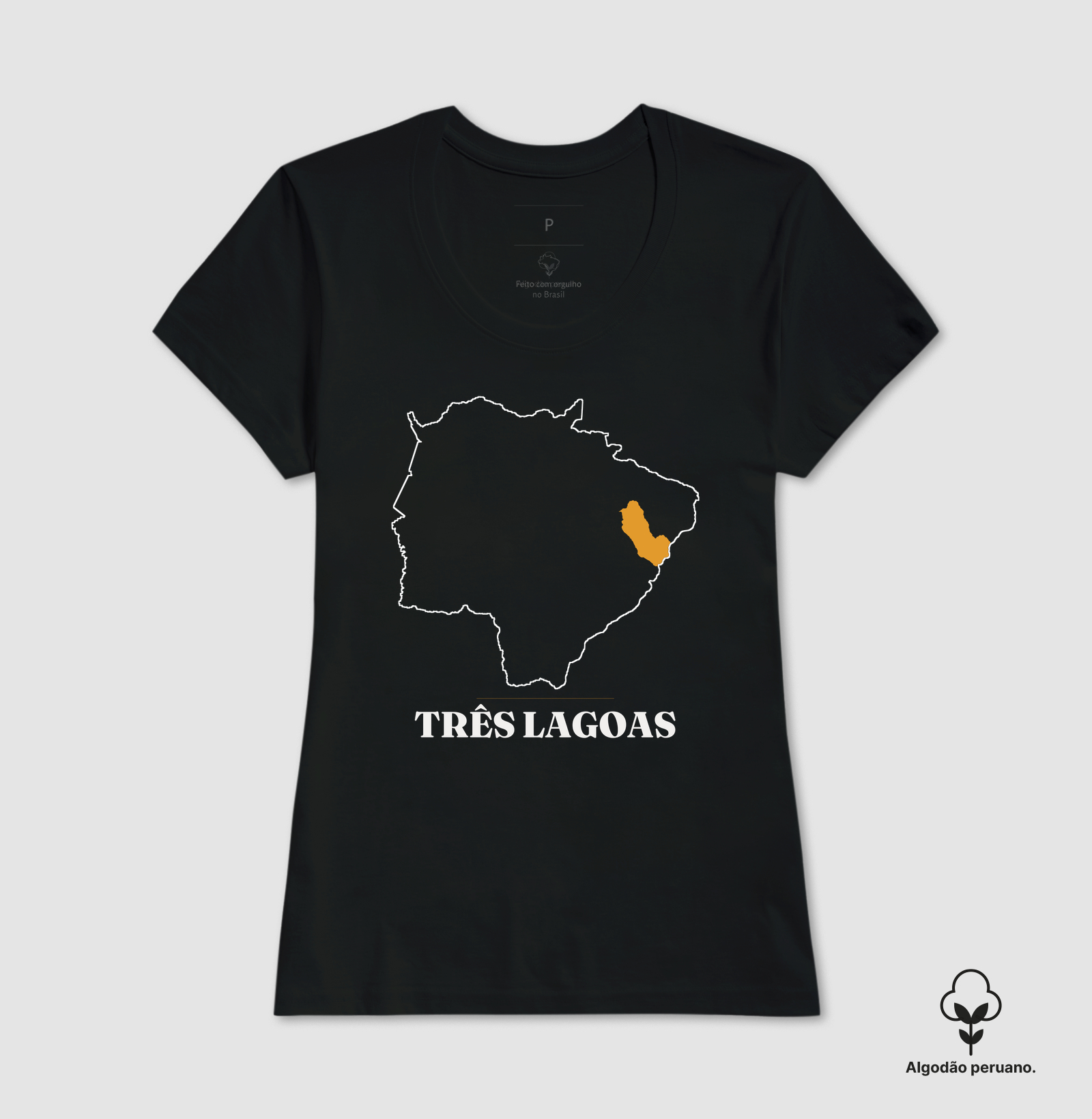 Três Lagoas | Traço MS - Imagem 4