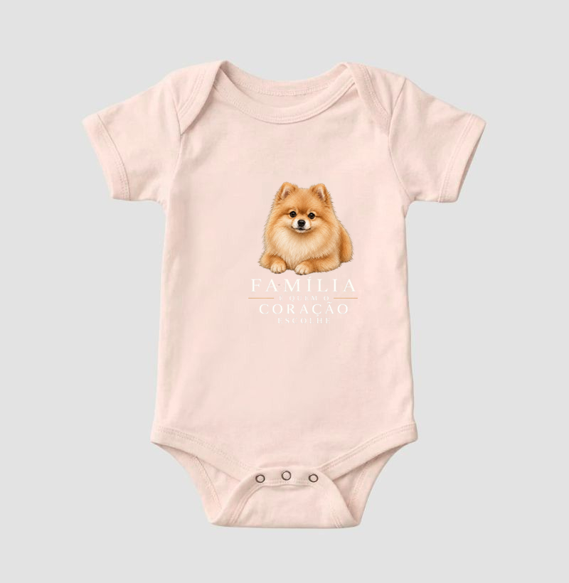 Pomerânia (Spitz Alemão) Caramelo - Família - Imagem 5