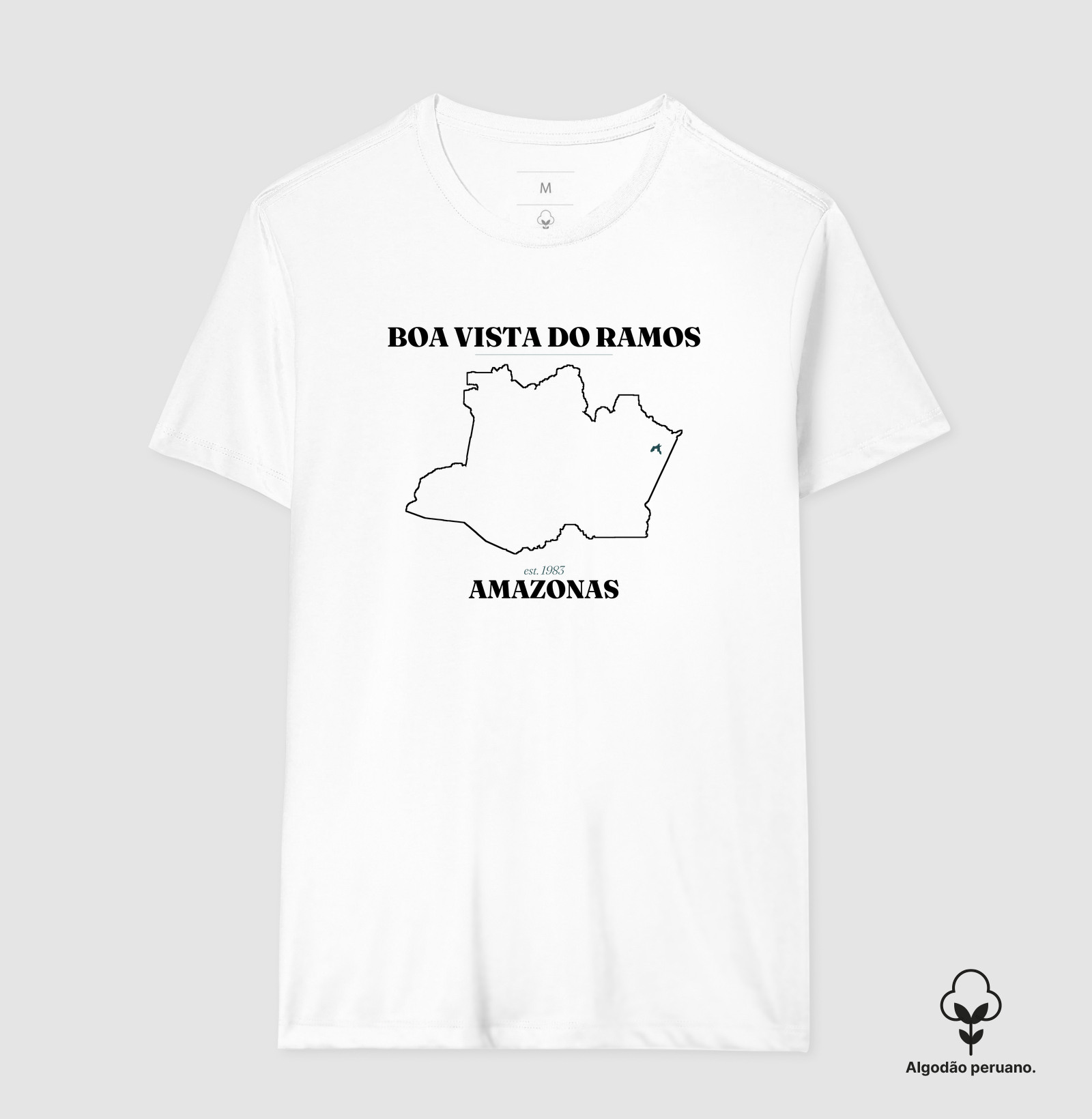 Boa Vista do Ramos | Legado AM - Imagem 9