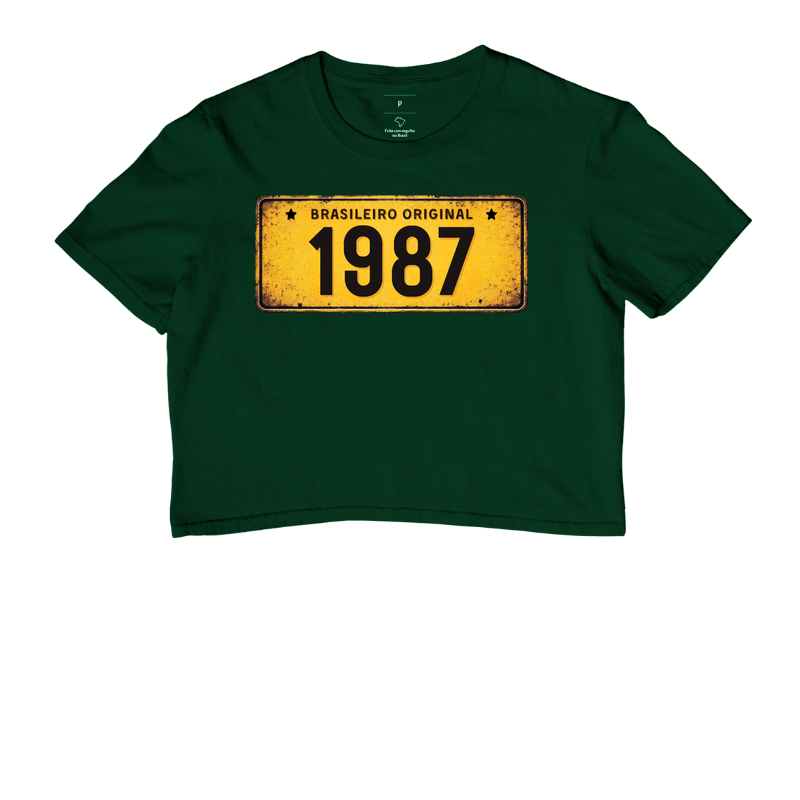 Placa Amarela 1987 - Imagem 5