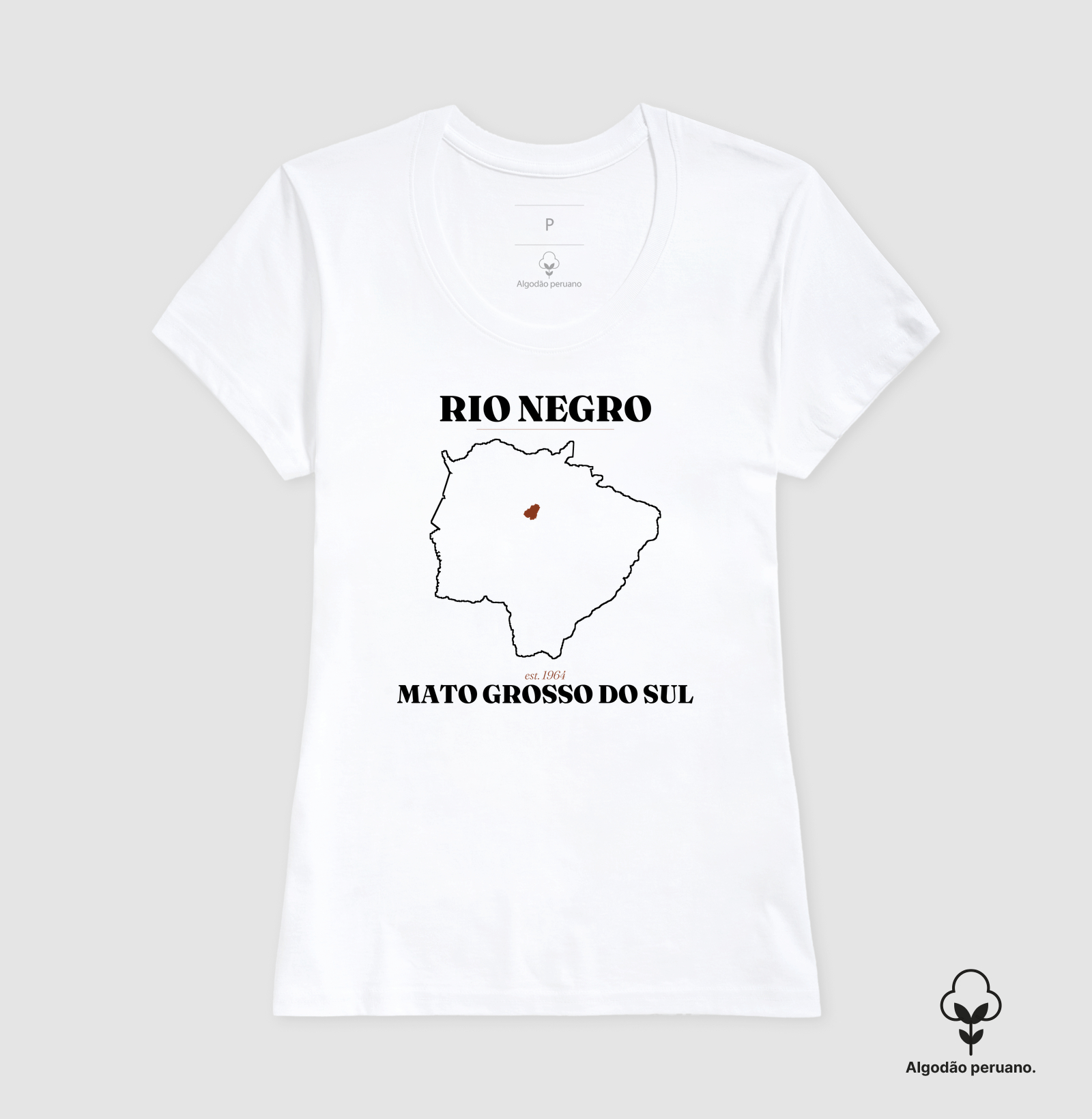 Rio Negro | Legado MS - Imagem 6