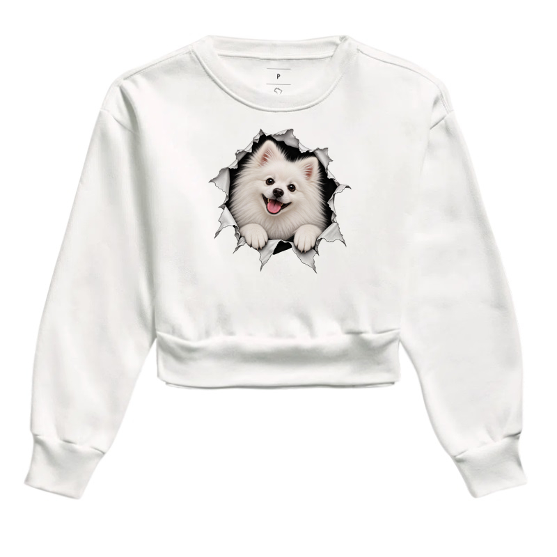 Pomerânia (Spitz Alemão) Saindo da Camisa - Imagem 3