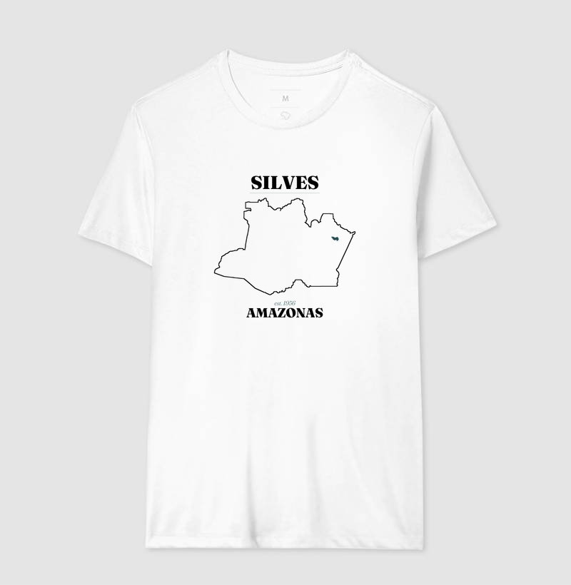 Silves | Legado AM - Imagem 4