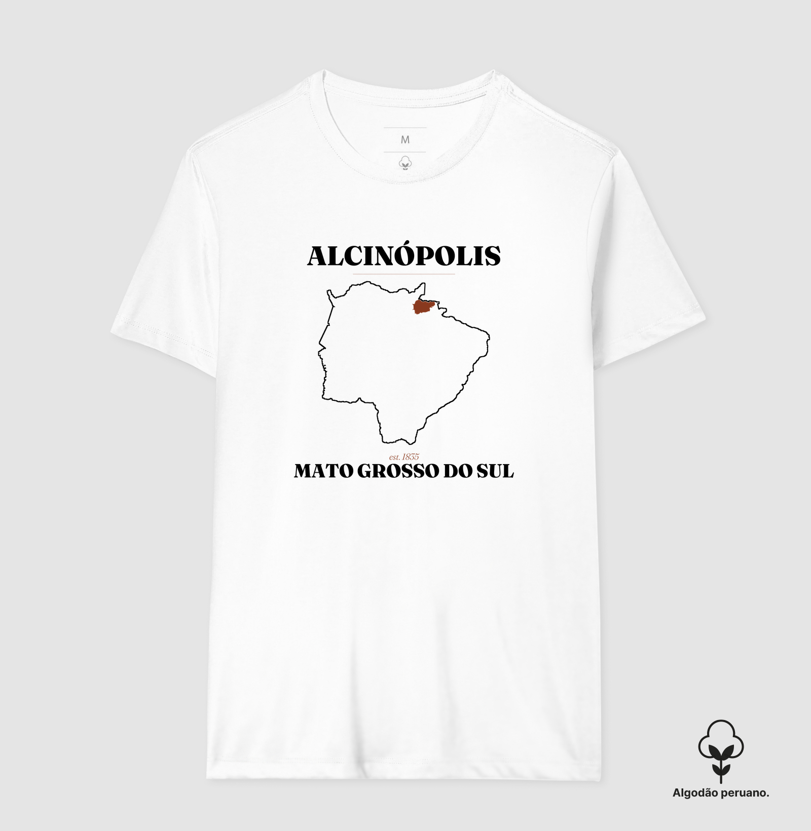 Alcinópolis | Legado MS - Imagem 6