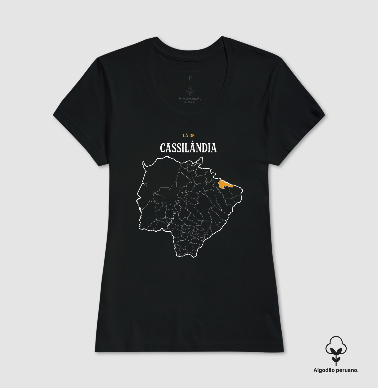 Cassilândia | Território MS - Imagem 6