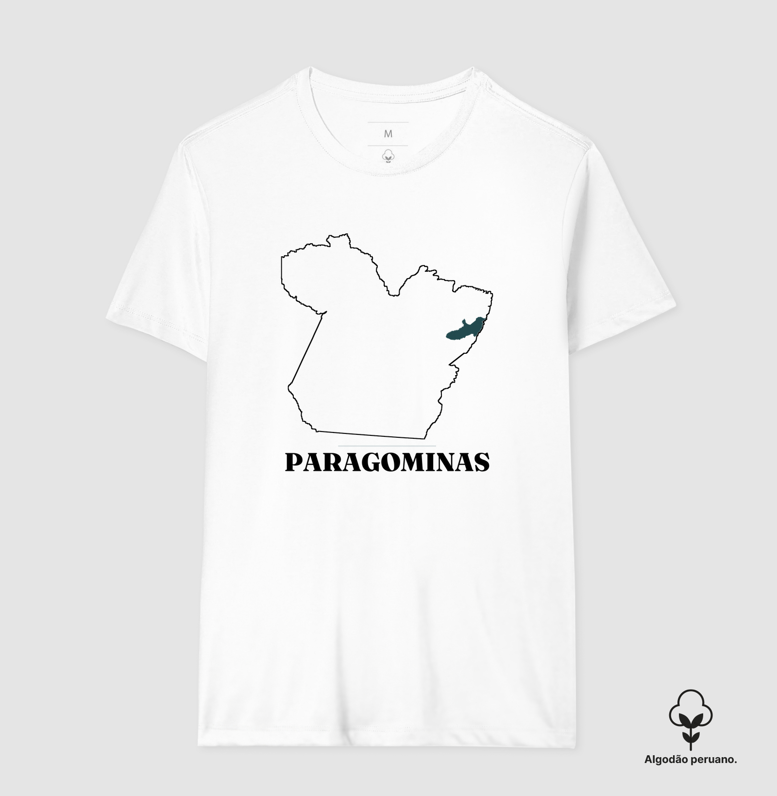 Paragominas | Traço PA - Imagem 3