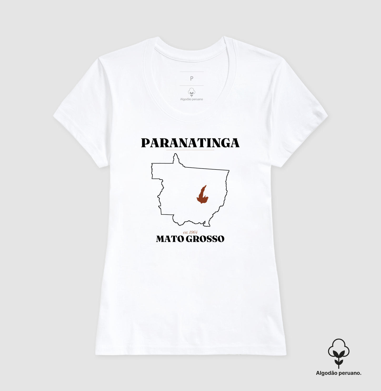 Paranatinga | Legado MT - Imagem 9