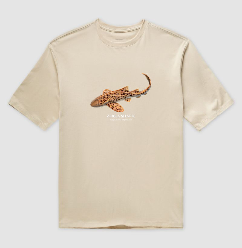 Zebra Shark - Imagem 4