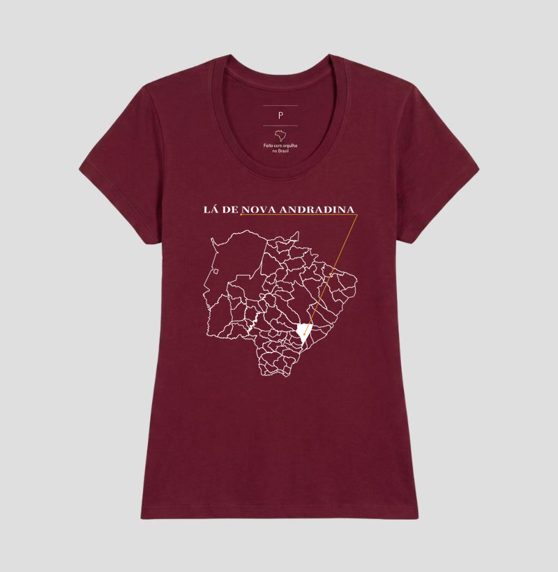 Nova Andradina | Origem MS - Imagem 19