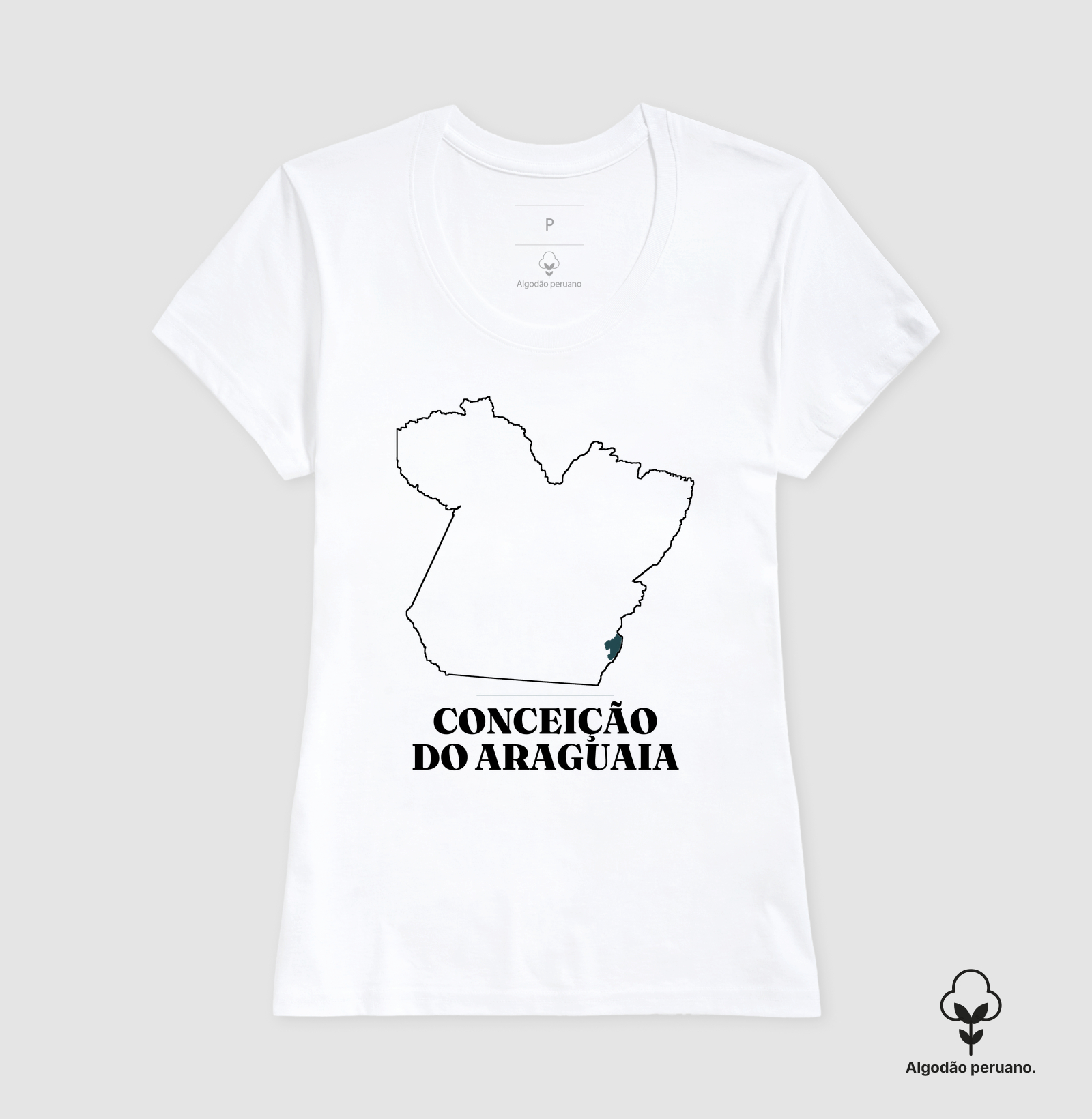 Conceição do Araguaia | Traço PA - Imagem 8