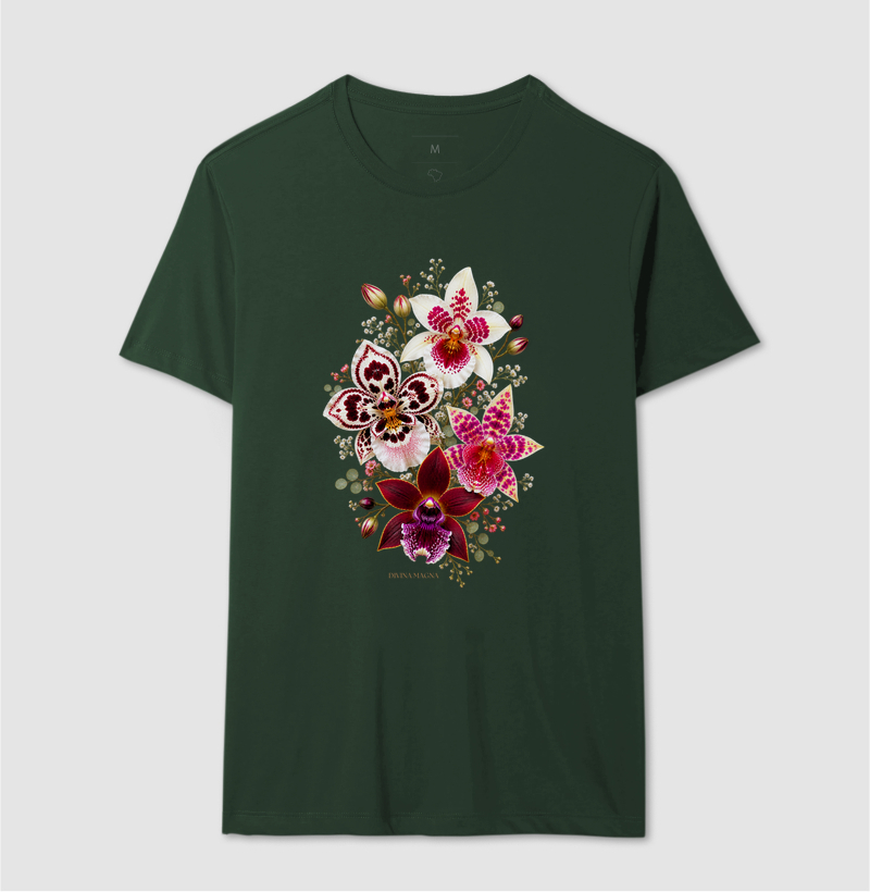 Quarteto de orquídeas - Imagem 8