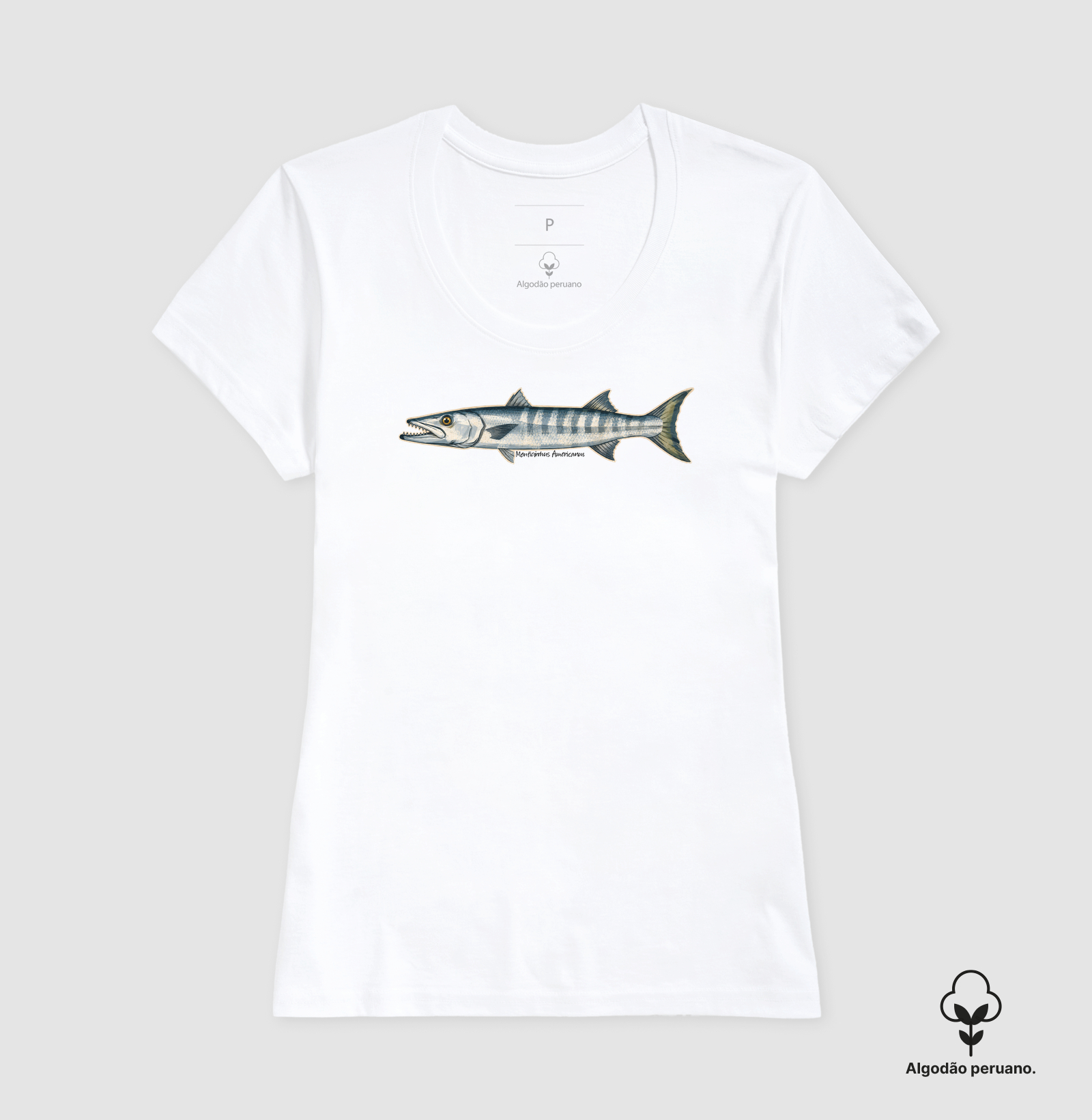 Barracuda - Imagem 8