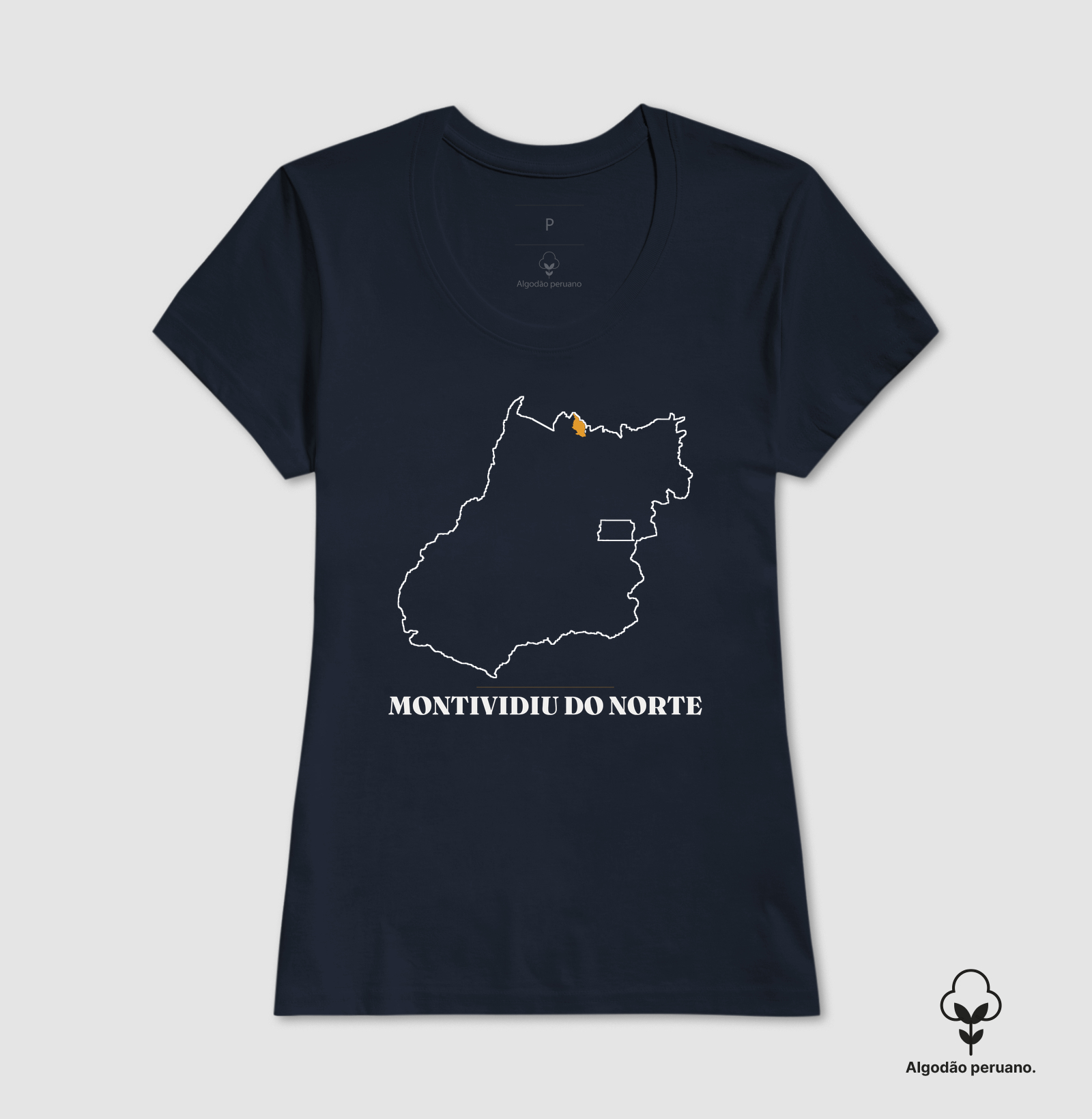 Montividiu do Norte | Traço GO - Imagem 8