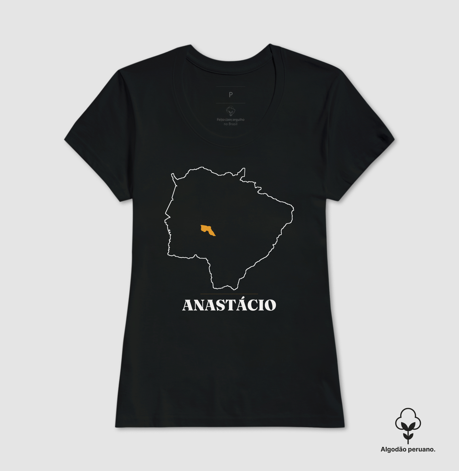 Anastácio | Traço MS - Imagem 3