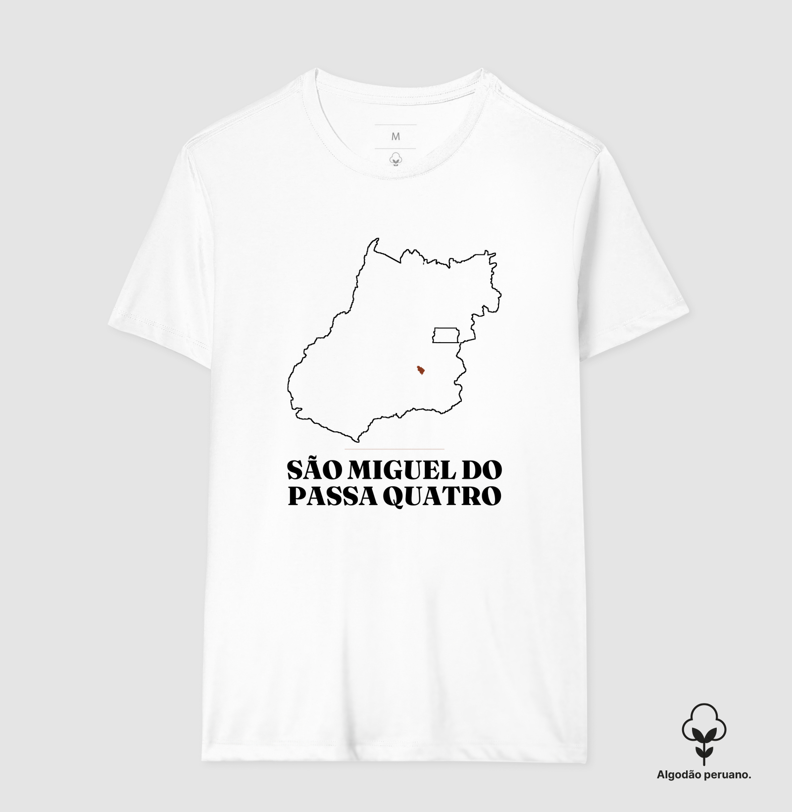 São Miguel do Passa Quatro | Traço GO - Imagem 4