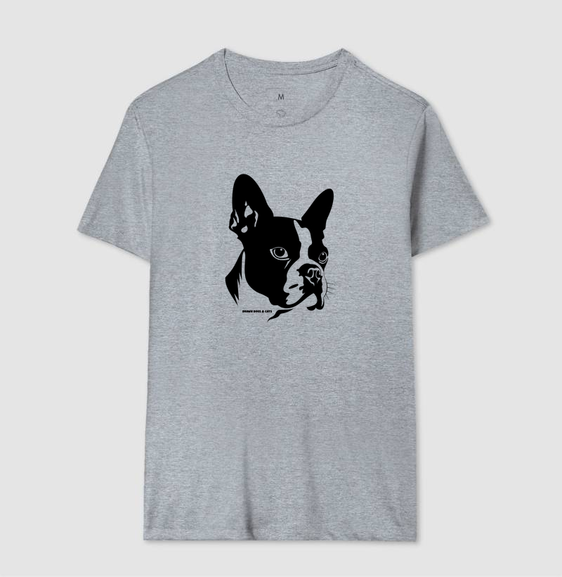 Boston Terrier - Imagem 4