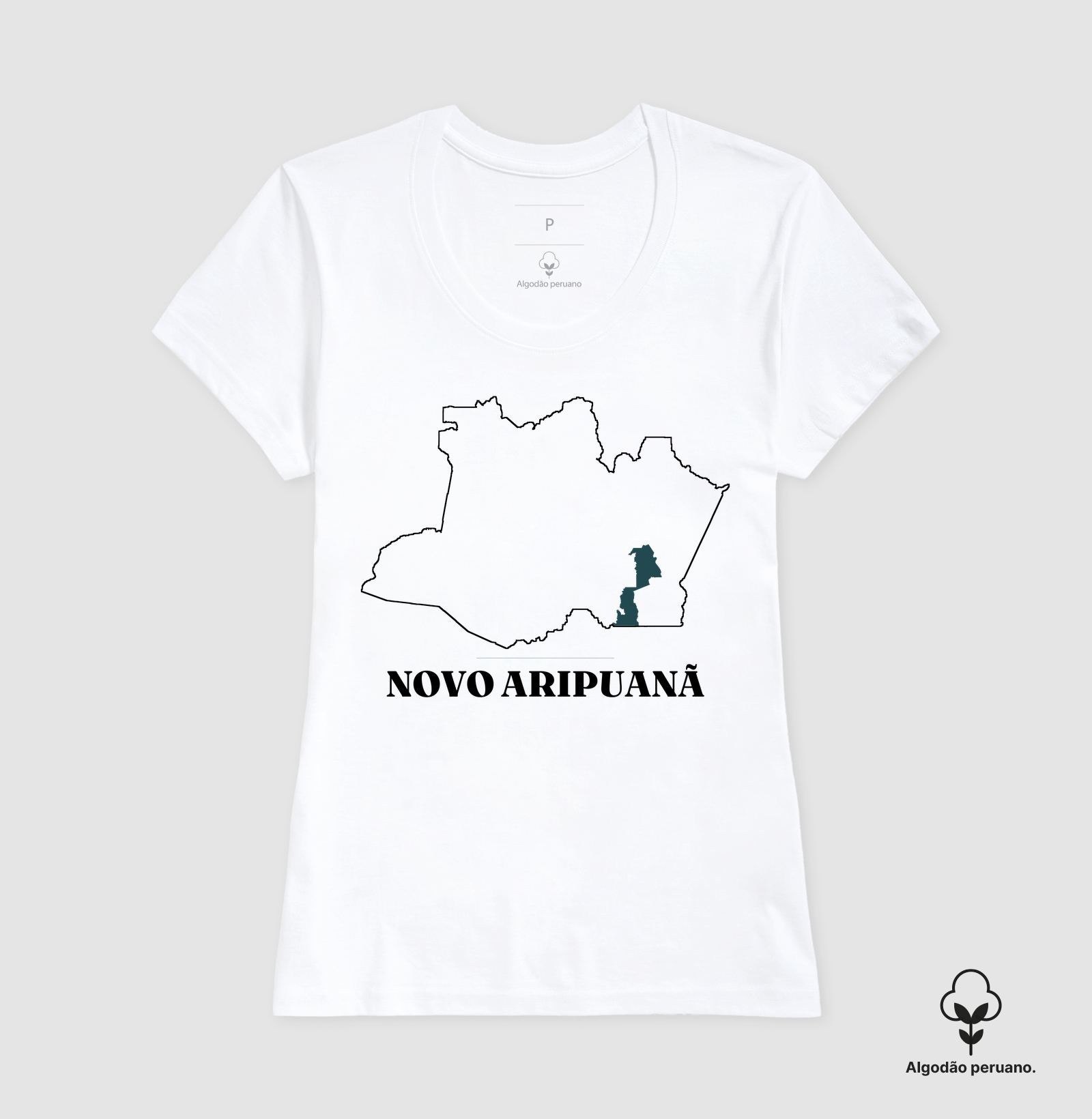 Novo Aripuanã | Traço AM - Imagem 7