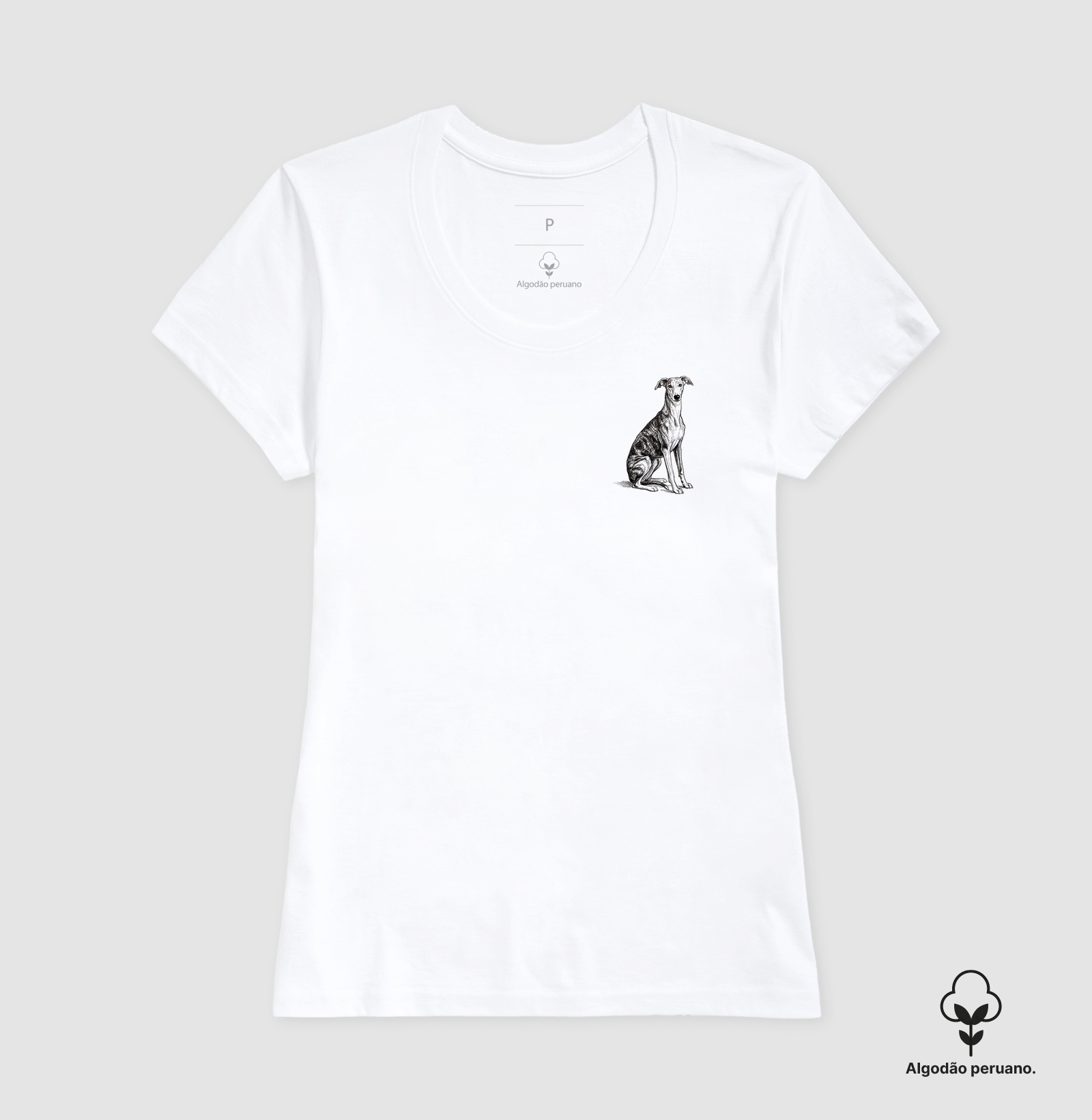 Galgo - Desenho - Imagem 7