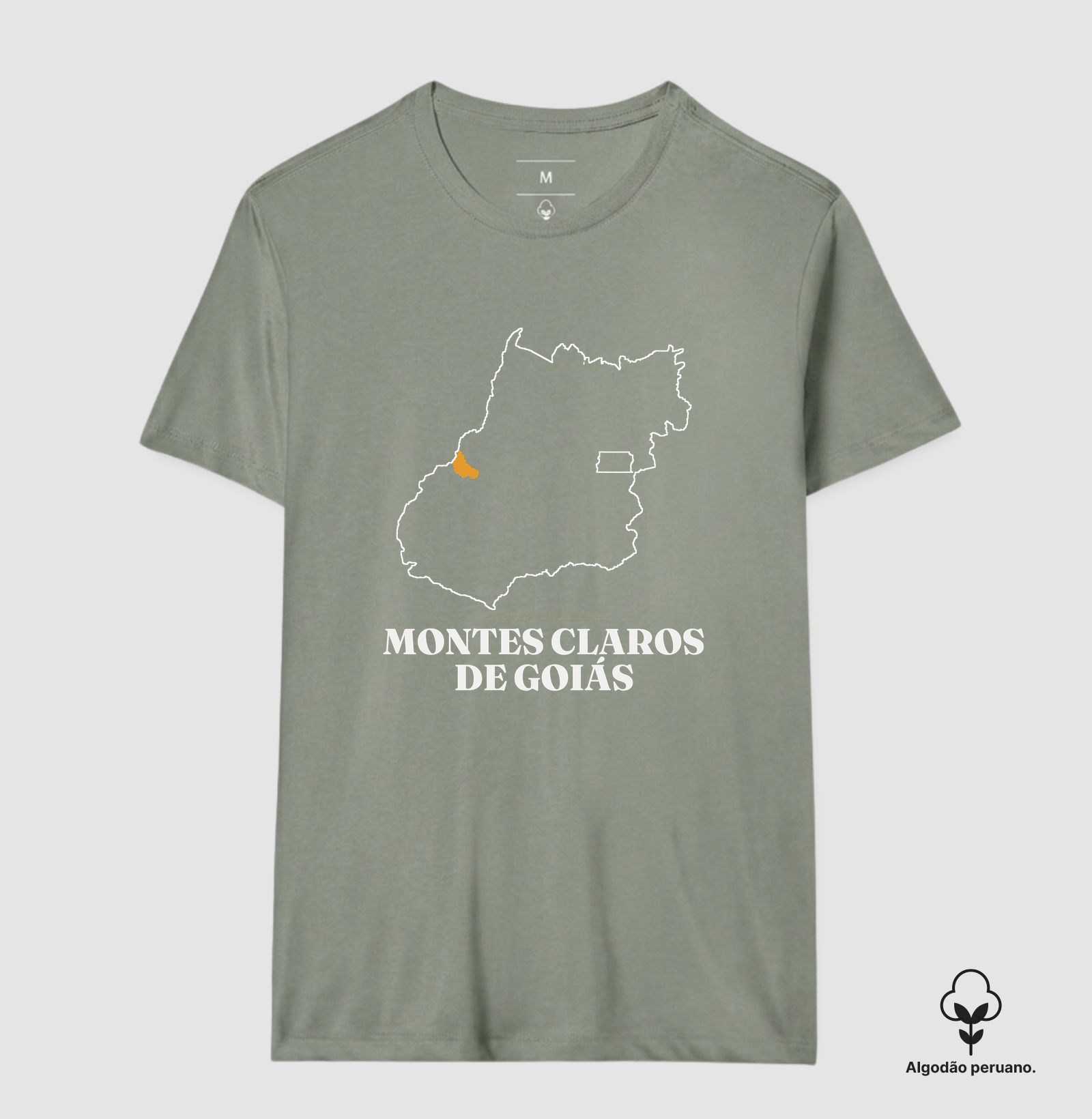 Montes Claros de Goiás | Traço GO - Imagem 9