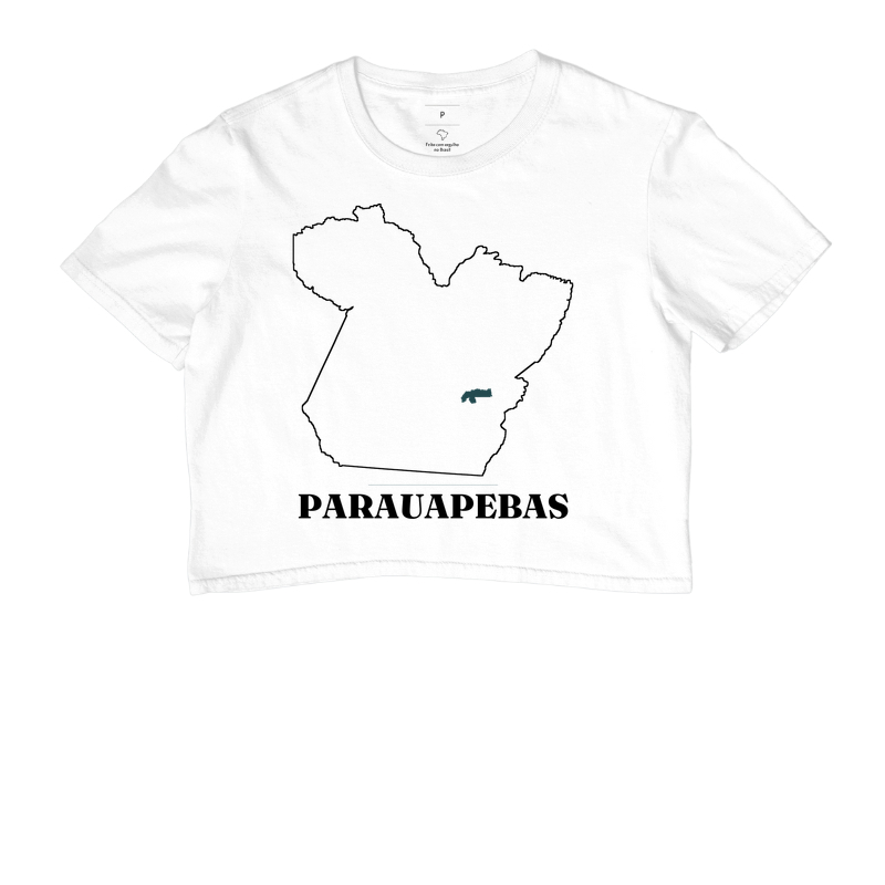 Parauapebas | Traço PA - Imagem 3