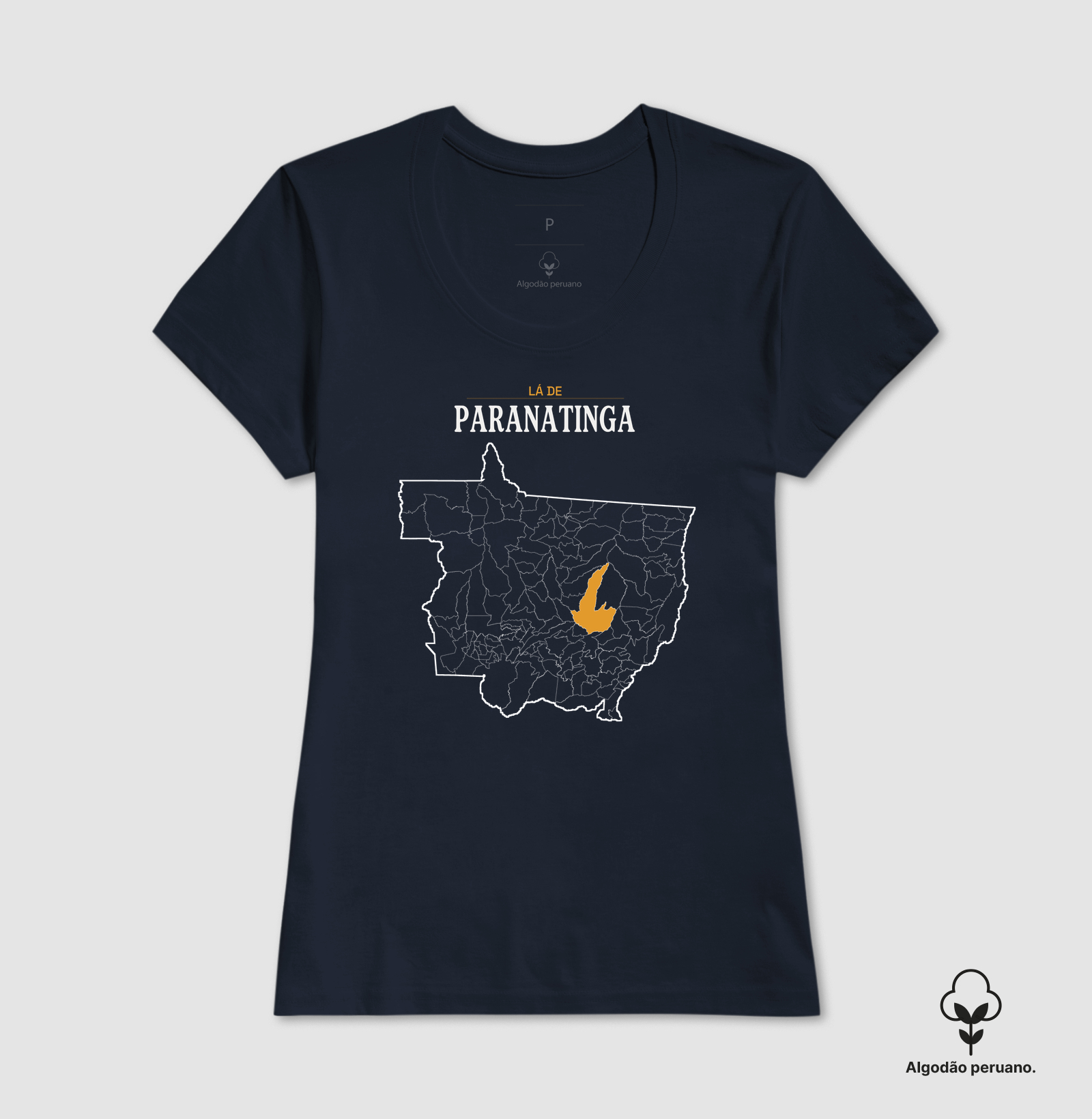 Paranatinga | Território MT - Imagem 9