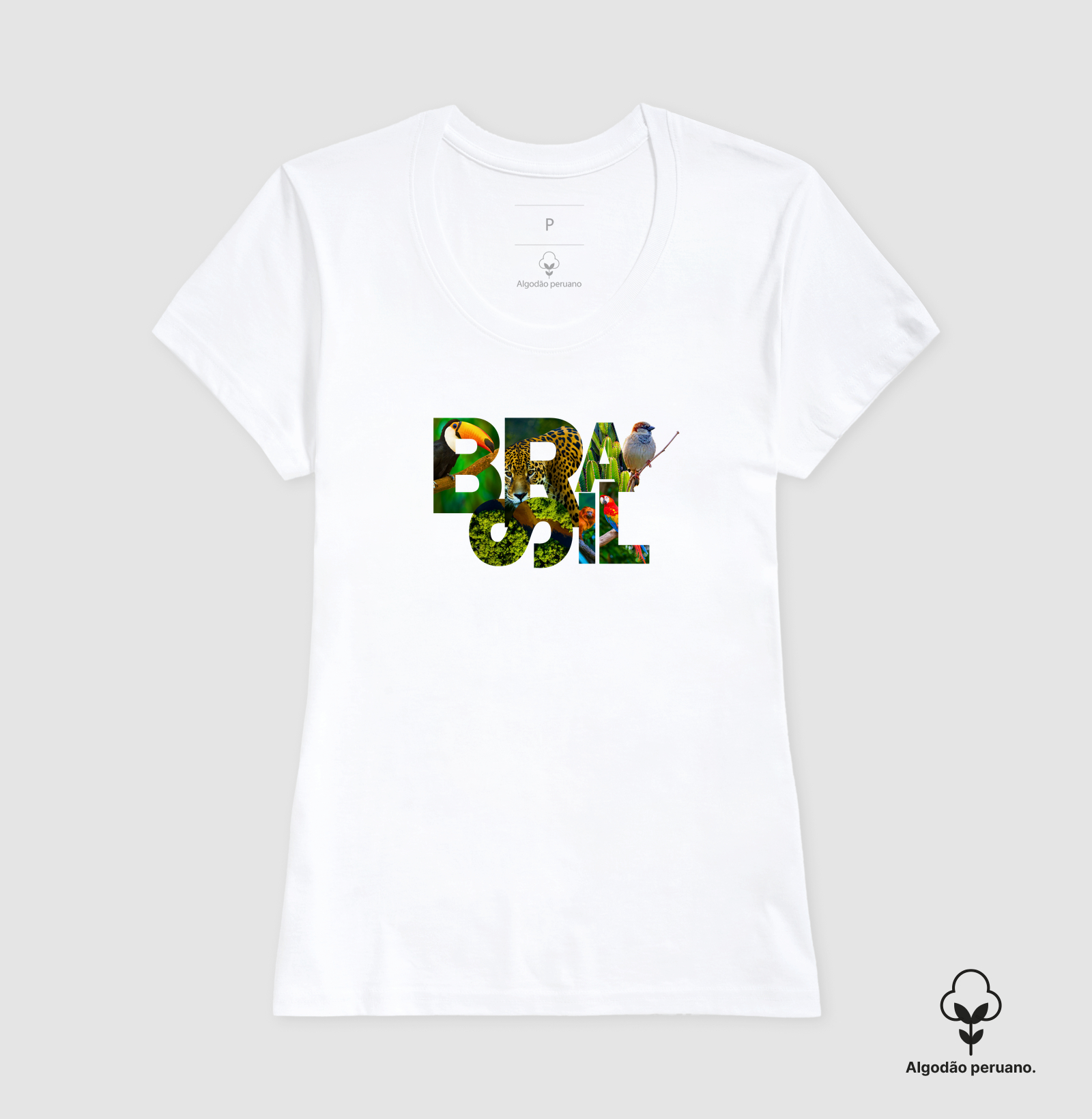 Brasil  - Imagem 8