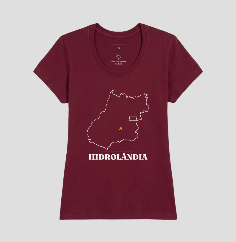 Hidrolândia | Traço GO - Imagem 19