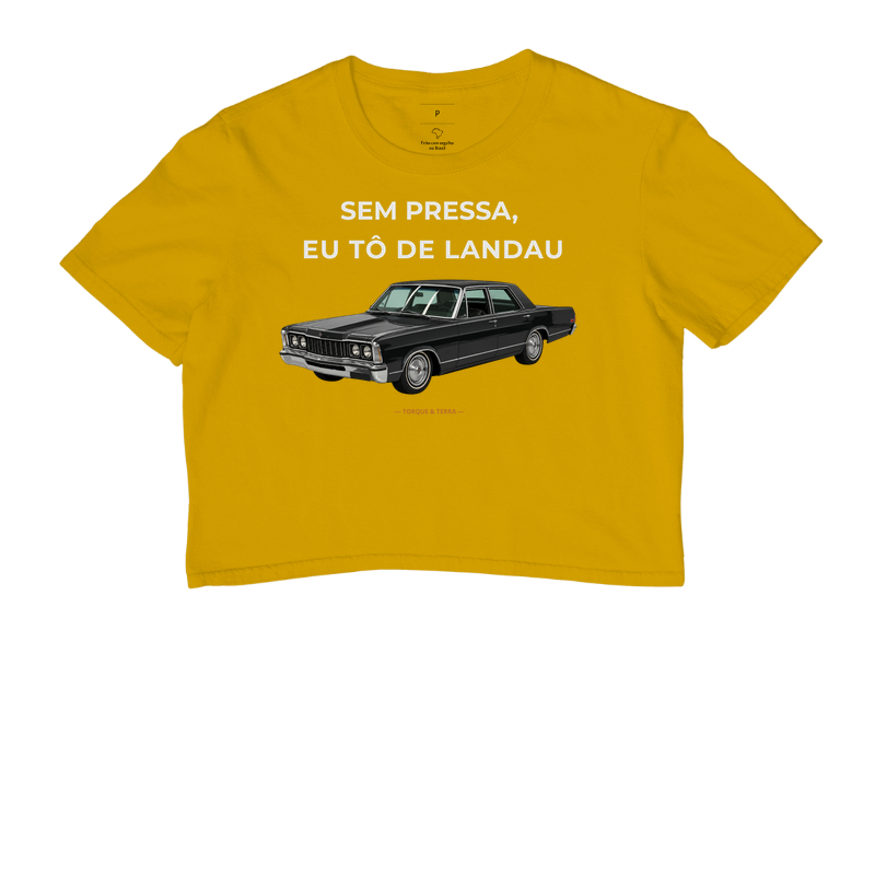 Sem pressa, eu tô de Landau - Imagem 8
