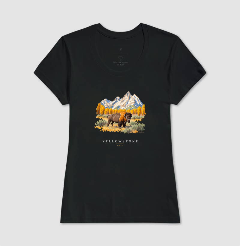 Bison - Yellowstone - Imagem 3