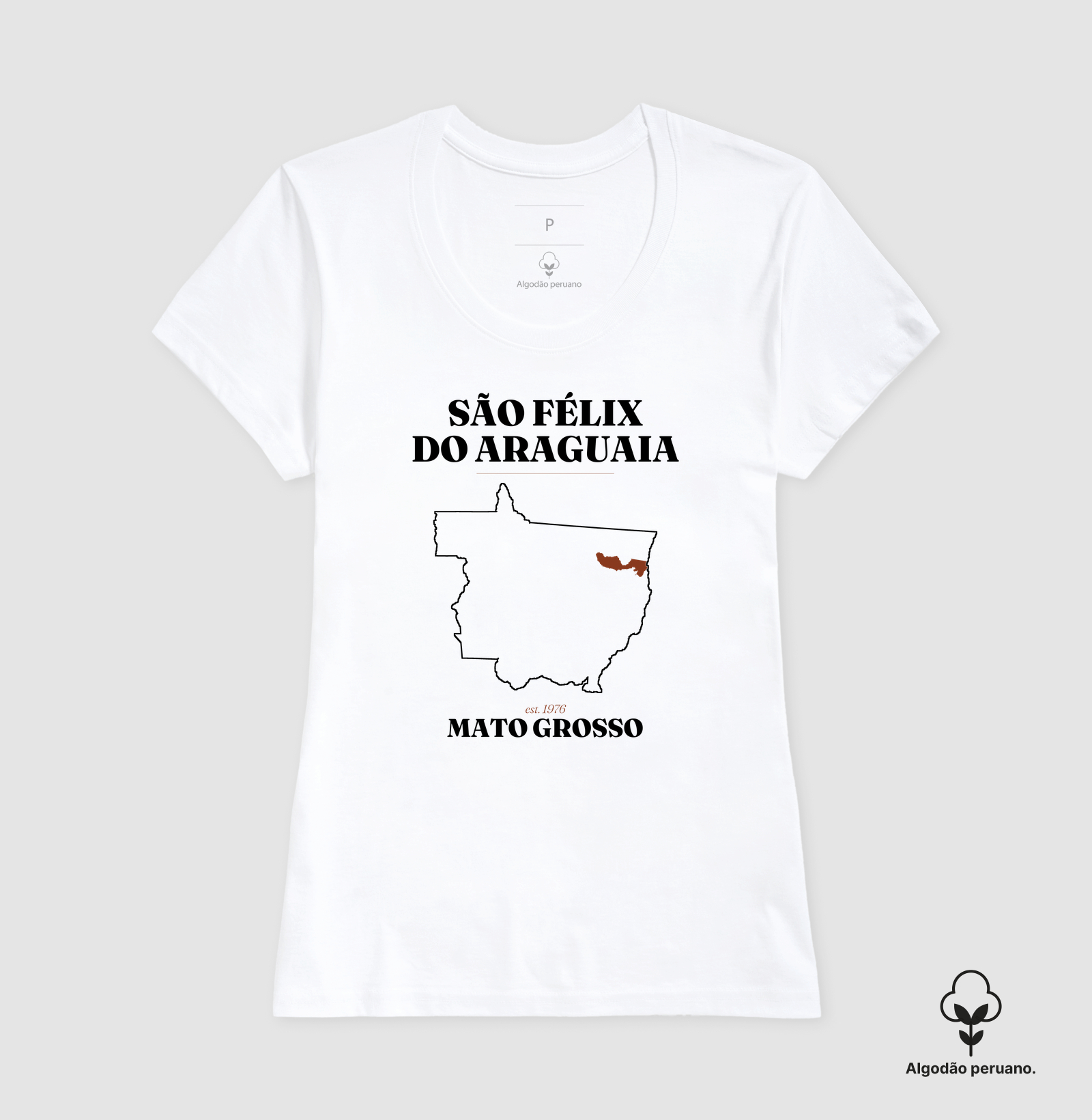 São Félix do Araguaia | Legado MT - Imagem 6