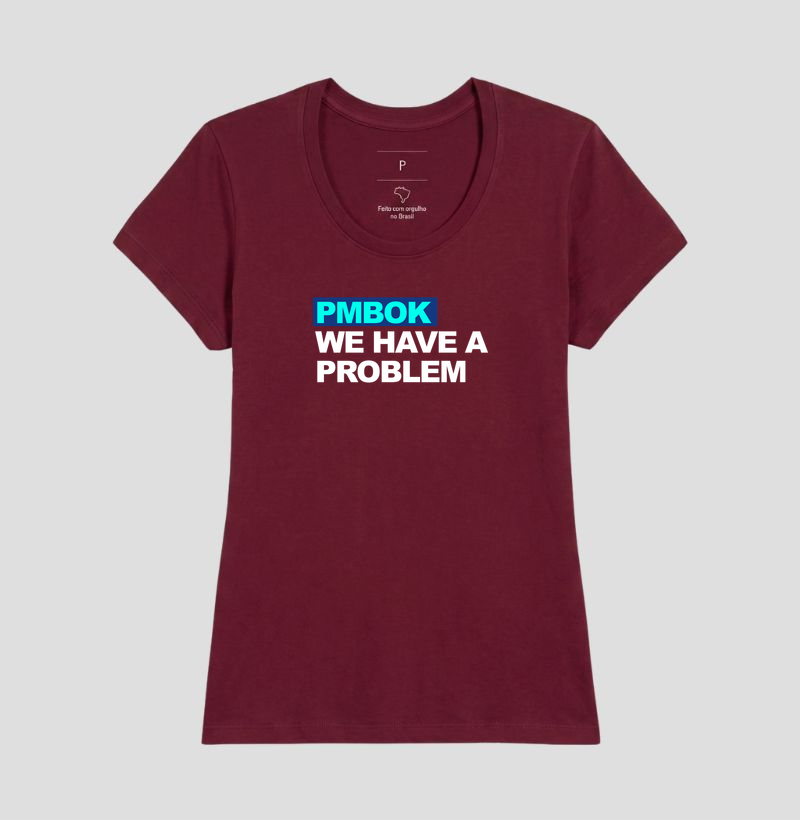 we have a problem PMBOK  - Imagem 15