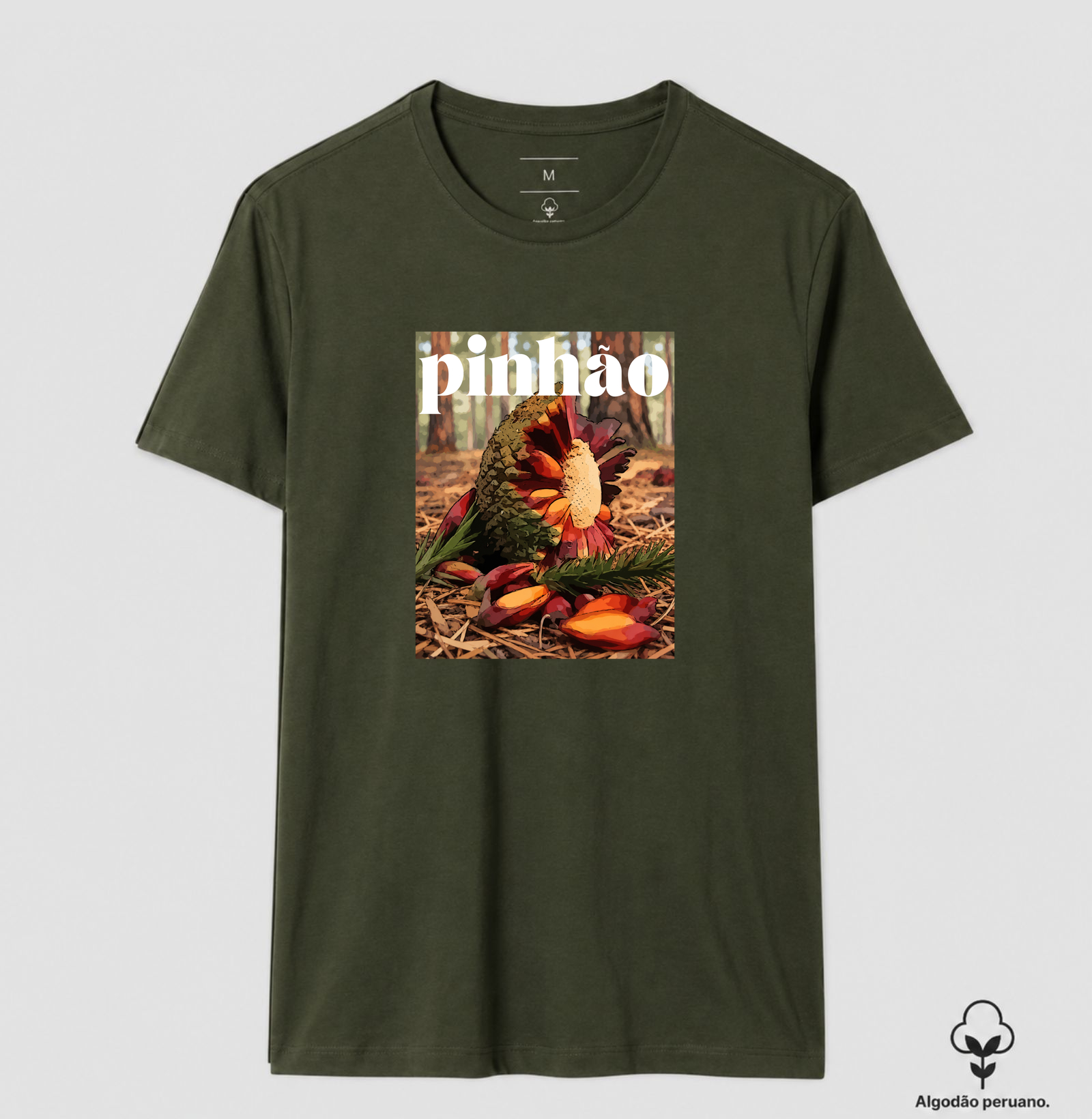 Pinhão - Imagem 4
