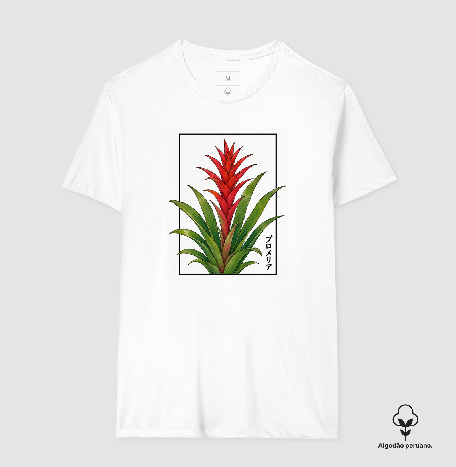 Bromélia - Imagem 2