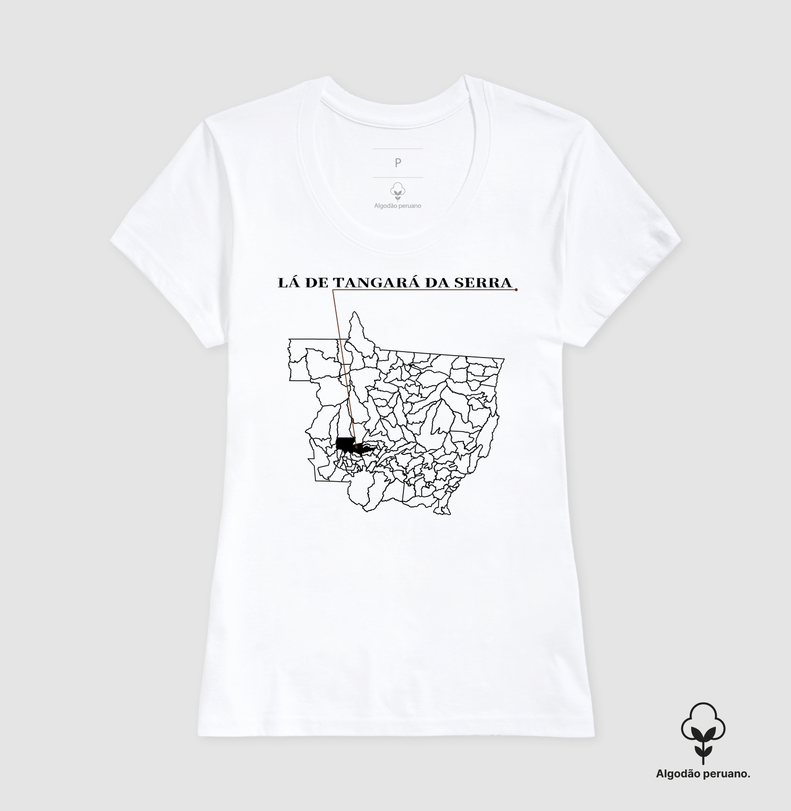 Tangará da Serra | Origem MT - Imagem 2