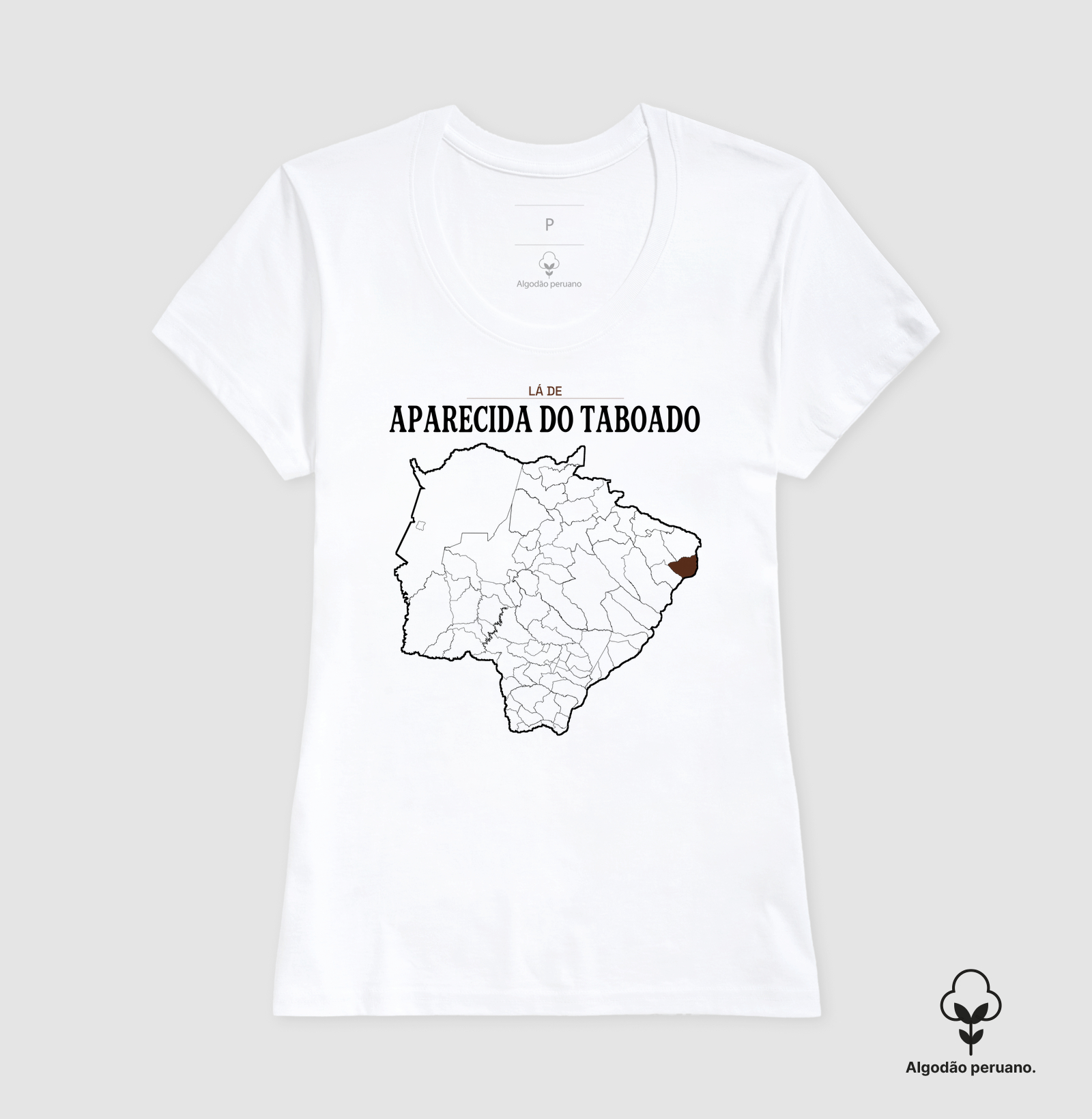 Aparecida do Taboado | Território MS - Imagem 8