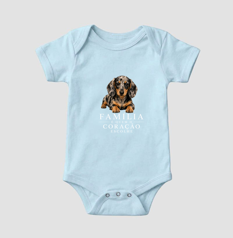 Dachshund Arlequim - Família - Imagem 4