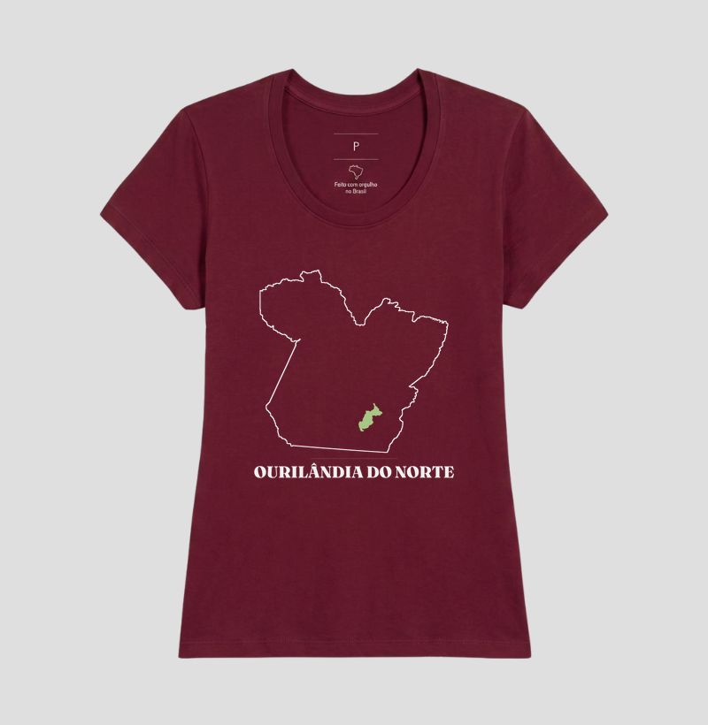 Ourilândia do Norte | Traço PA - Imagem 19