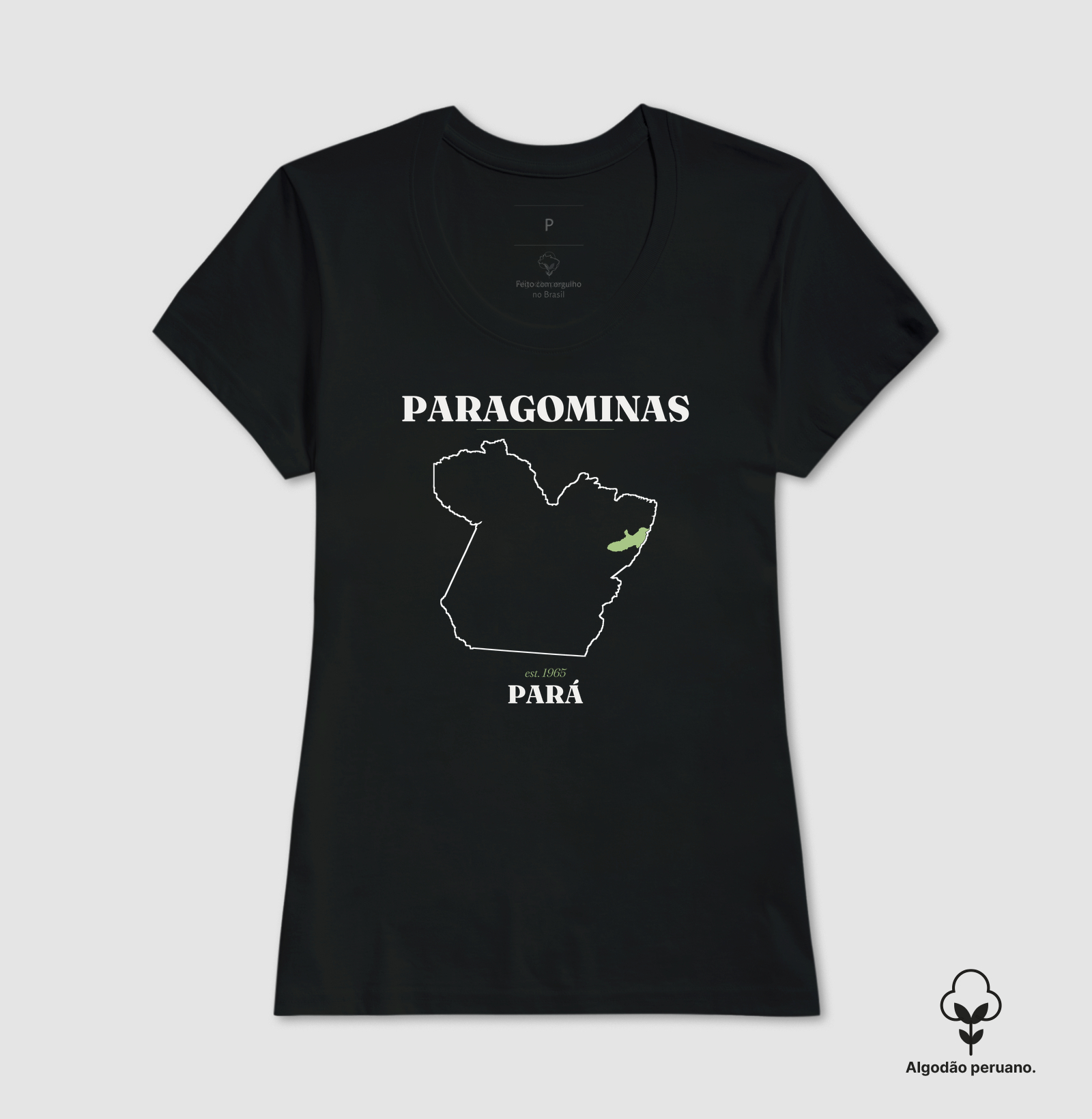 Paragominas | Legado PA - Imagem 6