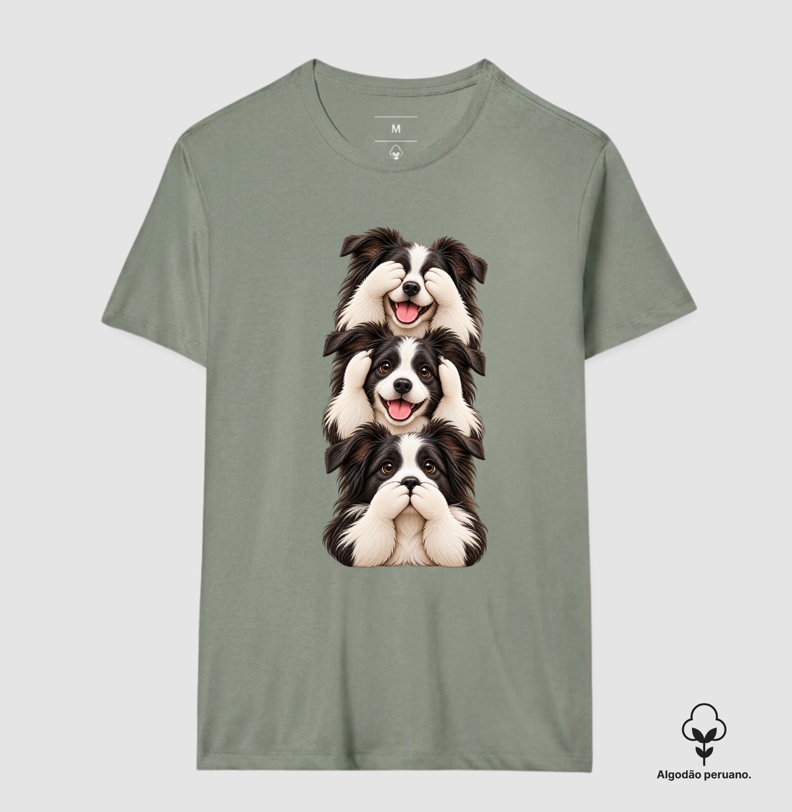 Ver, ouvir e falar Border Collie - Imagem 7