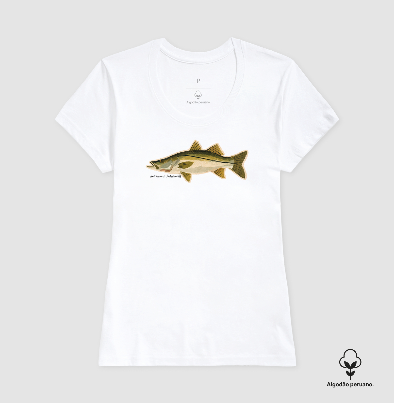 Robalo - Imagem 8