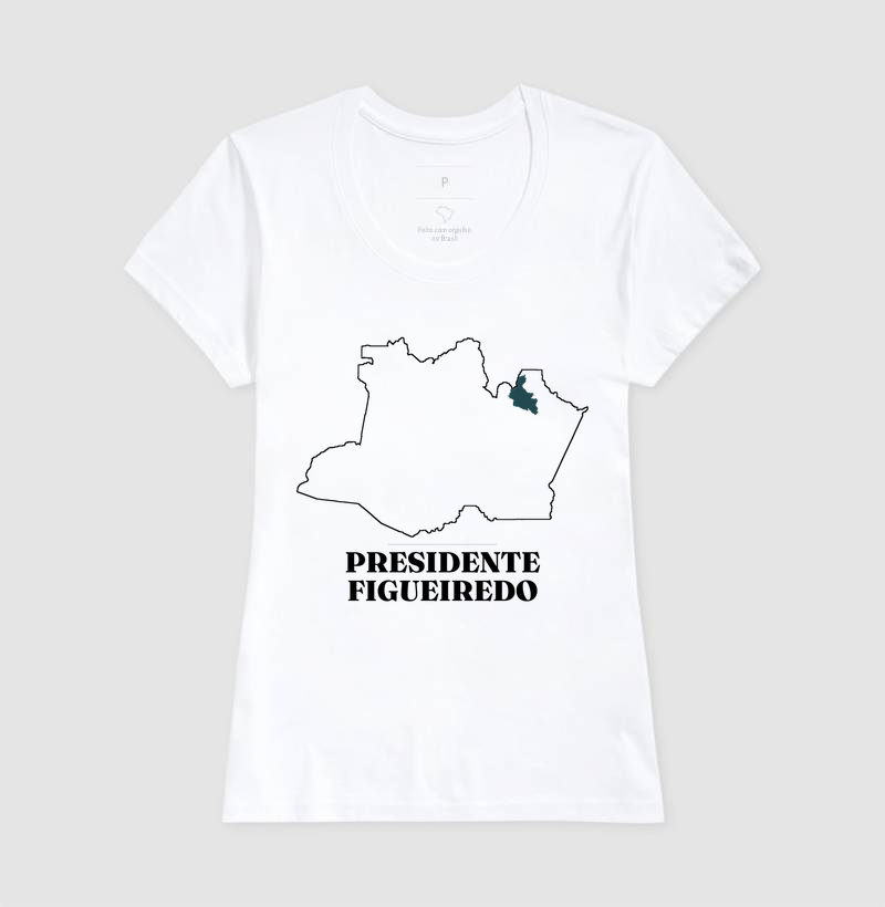 Presidente Figueiredo | Traço AM - Imagem 5