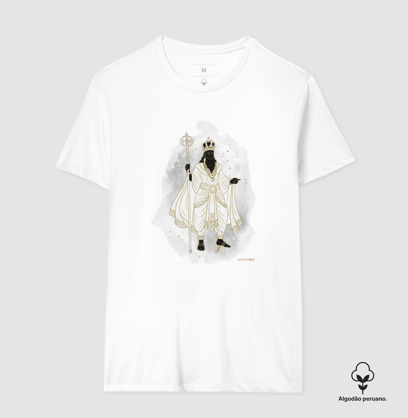 Camisa 1